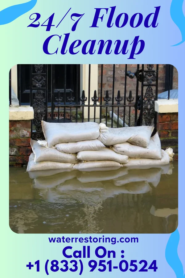 24/7 Flood Cleanup in Meridian, MS