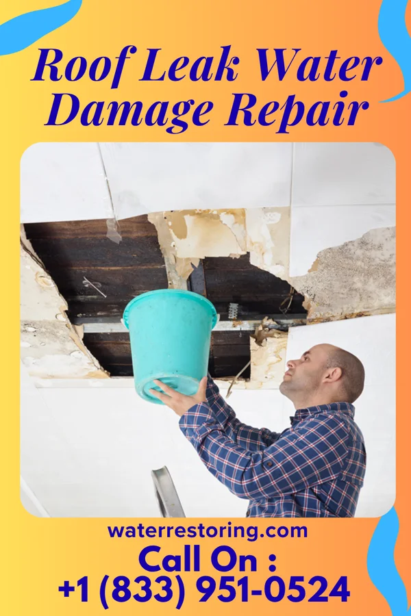 Roof Leak Water Damage Repair in Meridian, MS