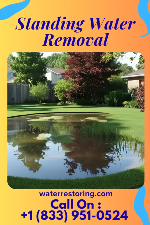 Standing Water Removal in Meridian, MS
